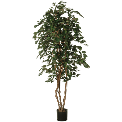 Фикус / Ficus Exotica растение искусственное