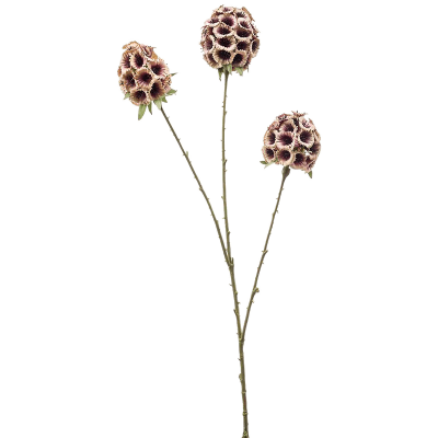 Скабиоза / Scabiosa растение искусственное