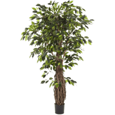 Фикус / Ficus liana растение искусственное