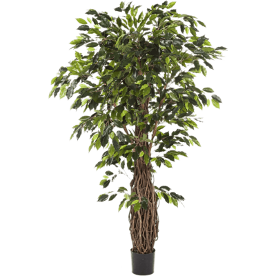 Фикус / Ficus liana растение искусственное