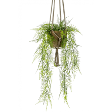 Аспарагус / Asparagus plumosus растение искусственное