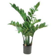 Замиокулкас в кашпо / Zamioculcas растение искусственное