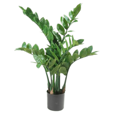 Замиокулкас в кашпо / Zamioculcas растение искусственное