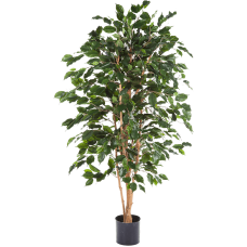 Фикус Экзотика / Ficus exotica растение искусственное