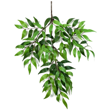 Рускус / Ruscus leaf spray растение искусственное