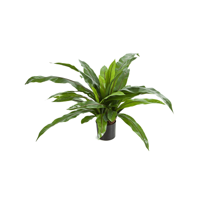 Асплениум / Asplenium fern растение искусственное
