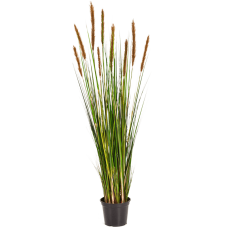 Лисохвост Трава / Grass foxtail растение искусственное