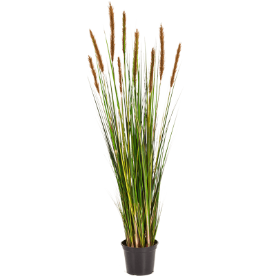 Лисохвост Трава / Grass foxtail растение искусственное