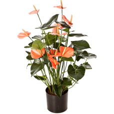 Антуриум Люкс / Anthurium de luxe растение искусственное