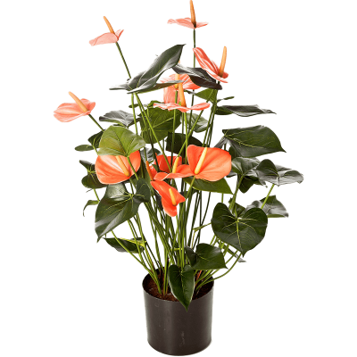 Антуриум Люкс / Anthurium de luxe растение искусственное