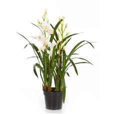 Цимбидиум Орхидея / Cymbidium orchid растение искусственное