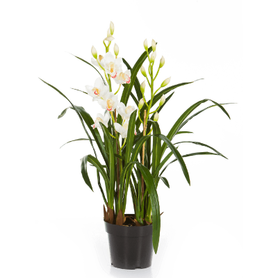 Цимбидиум Орхидея / Cymbidium orchid растение искусственное