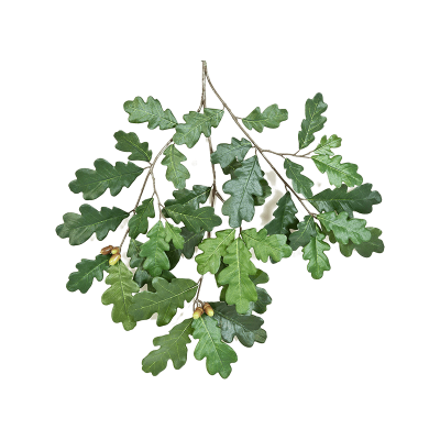 Дуб ветка с плодами / Common Oak Spray With Fruits растение искусственное