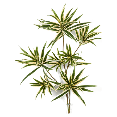 Драцена Рефлекса ветка / Dracaena reflexa spray var. растение искусственное