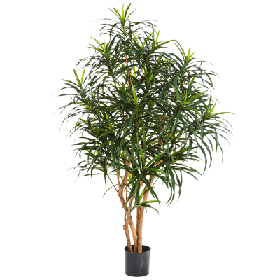 Драцена Анита дерево / Dracaena anita tree растение искусственное