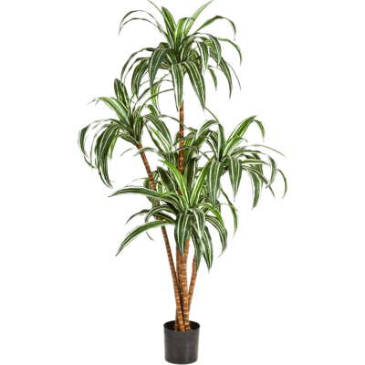 Драцена / Dracaena растение искусственное