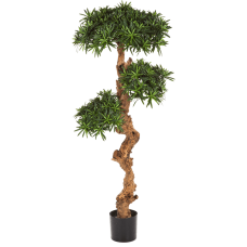 Подокарпус / Podocarpus растение искусственное
