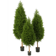 Кипарис дерево / Cypres растение искусственное