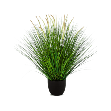 Пеннисетум Вудсайд / Pennisetum woodside растение искусственное