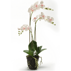 Фаленопсис / Phalaenopsis растение искусственное