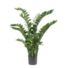 Замиокулкас в кашпо / Zamioculcas растение искусственное