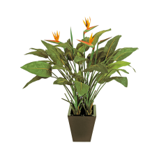 Стрелиция / Strelitzia растение искусственное