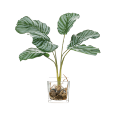 Калатея / Calathea растение искусственное