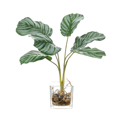 Калатея / Calathea растение искусственное