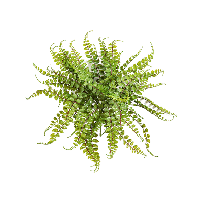 Асплениум / Asplenium maidenhair растение искусственное