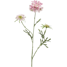 Скабиоза / Scabiosa растение искусственное