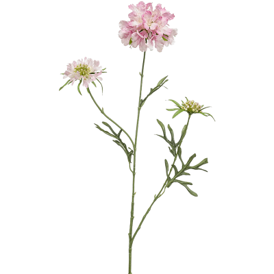 Скабиоза / Scabiosa растение искусственное