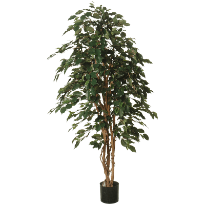 Фикус / Ficus Exotica растение искусственное