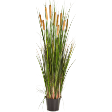 Трава Рогоз / Cattail grass растение искусственное