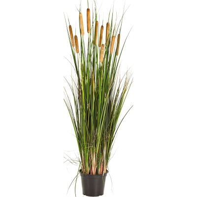 Трава Рогоз / Cattail grass растение искусственное