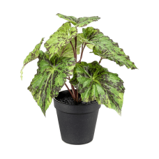Бегония листья / Begonia Leaves растение искусственное