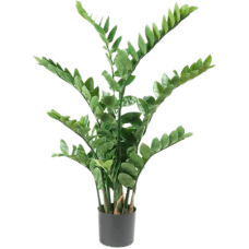 Замиокулкас в кашпо / Zamioculcas растение искусственное