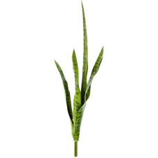 Сансевиерия / Sansevieria растение искусственное