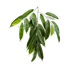 Лонгифолия ветка / Fat Longifolia Spray растение искусственное