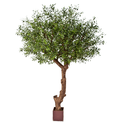 Олива / Natural olive tree poly растение искусственное