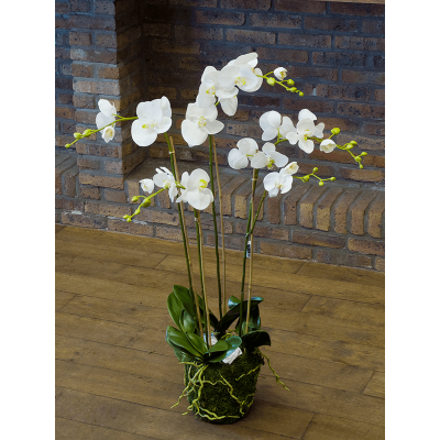 Фаленопсис / Phalaenopsis plant растение искусственное