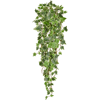 Плющ / Ivy Green Variegated растение искусственное