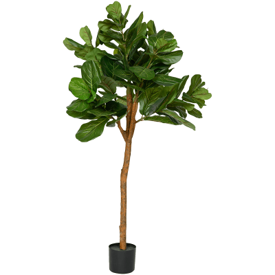 Фикус / Ficus lyrata растение искусственное