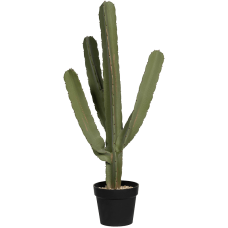 Кактусы / Cactus Cereus растение искусственное