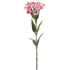 Гвоздика / Dianthus растение искусственное