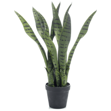 Сансевиерия / Sansevieria растение искусственное