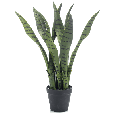 Сансевиерия / Sansevieria растение искусственное