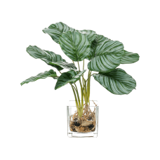 Калатея / Calathea растение искусственное