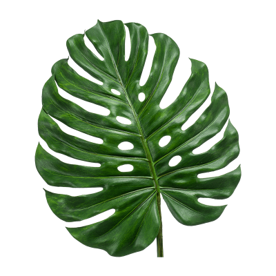 Монстера лист / Monstera leaf растение искусственное