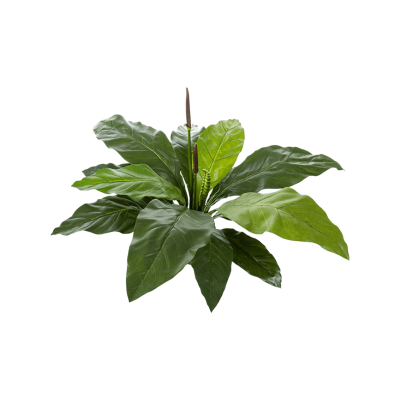 Антуриум Джангл Кинг / Anthurium jungle king растение искусственное