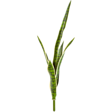 Сансевиерия / Sansevieria растение искусственное